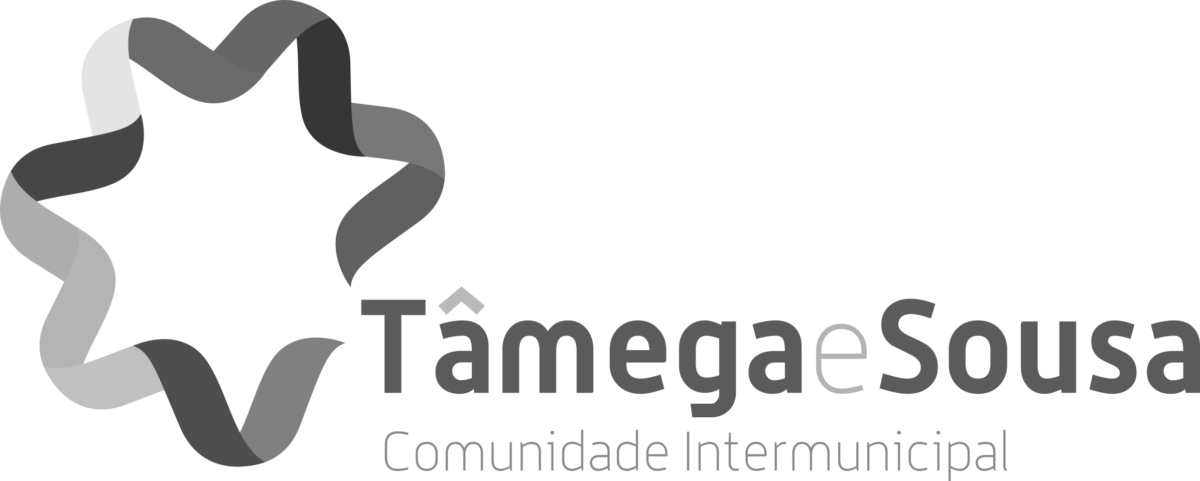 tamega e sousa