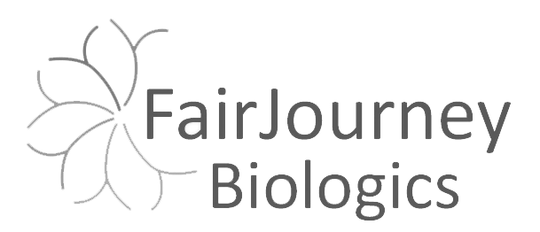 faijourney